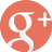 Google Plus